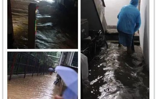 闻“汛”而动 逆行而上  —— 宝鸡国资正能实业发展有限公司防汛抢险纪实