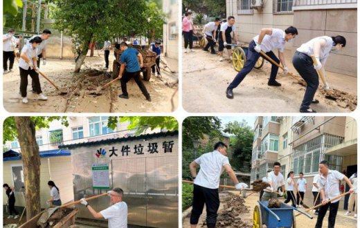 党旗在防汛救灾一线飘扬 —— 国资公司机关党支部联合正能实业党总支共同开展淤泥清理工作